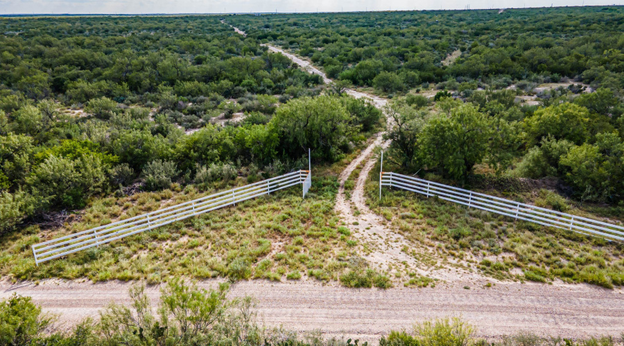 ABST 209 ABST 209 J V Borrego, Zapata, Texas 00000-0000, ,Land,For Sale,ABST 209 ABST 209 J V Borrego,20264223