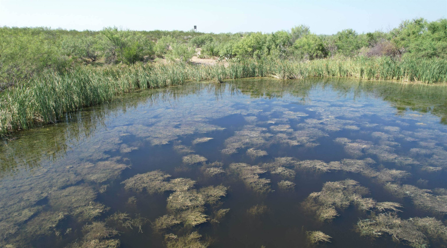 0000 ABST 423, Laredo, Texas 78046, ,Land,For Sale,0000 ABST 423,20261044