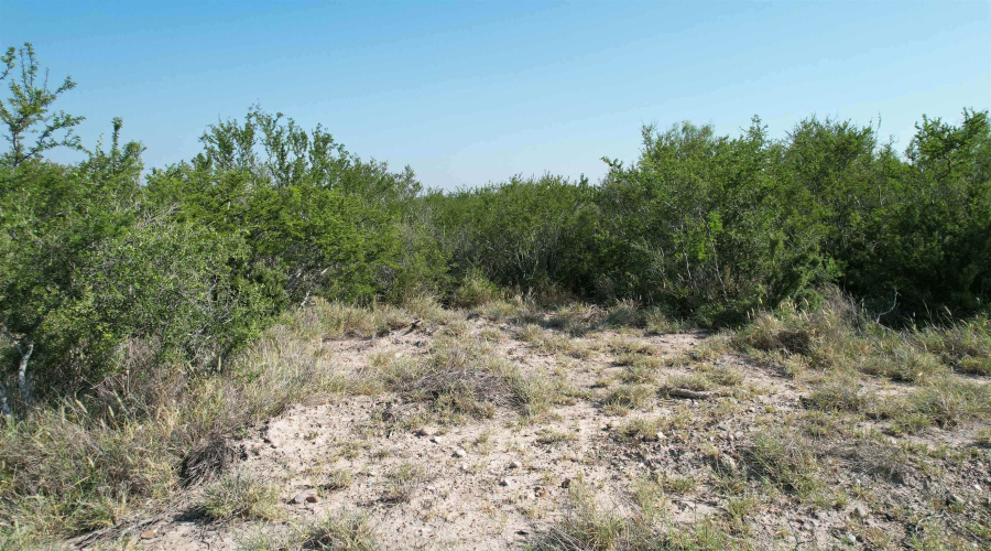0000 ABST 423, Laredo, Texas 78046, ,Land,For Sale,0000 ABST 423,20261044