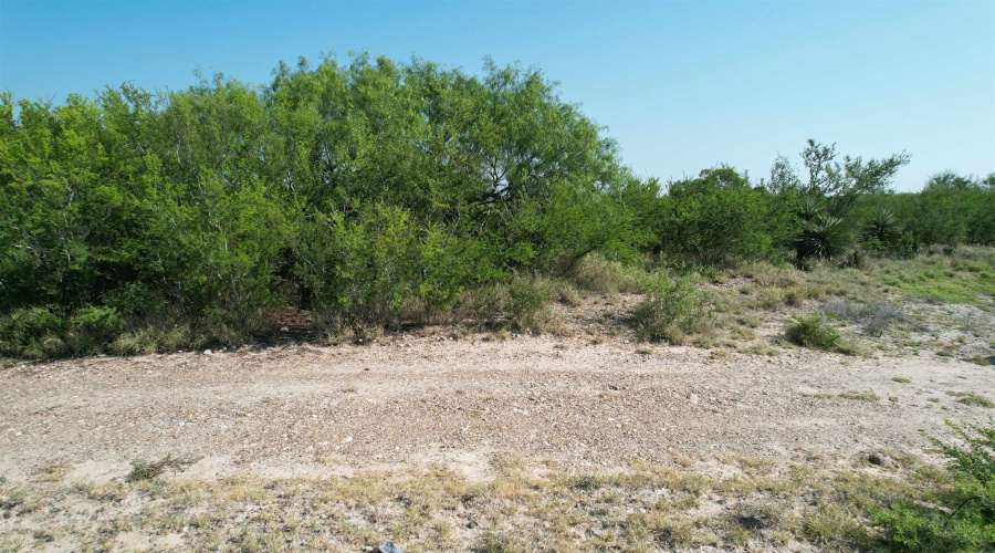 0000 ABST 423, Laredo, Texas 78046, ,Land,For Sale,0000 ABST 423,20261044