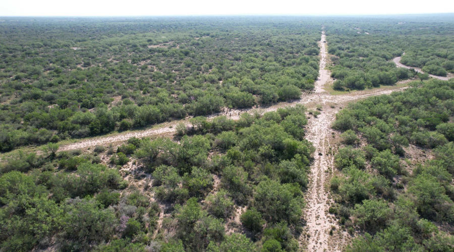 0000 ABST 423, Laredo, Texas 78046, ,Land,For Sale,0000 ABST 423,20261044