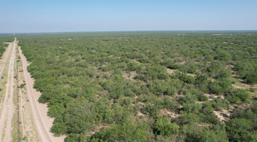 0000 ABST 423, Laredo, Texas 78046, ,Land,For Sale,0000 ABST 423,20261044