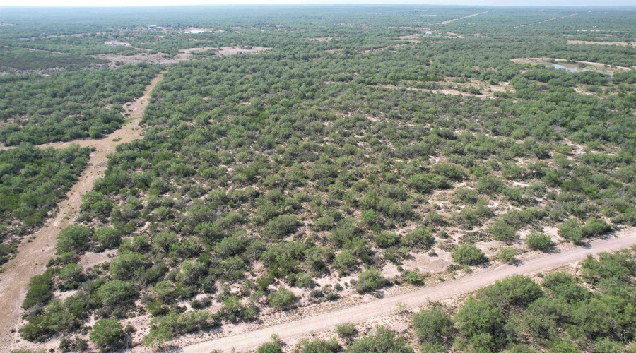 0000 ABST 423, Laredo, Texas 78046, ,Land,For Sale,0000 ABST 423,20261044