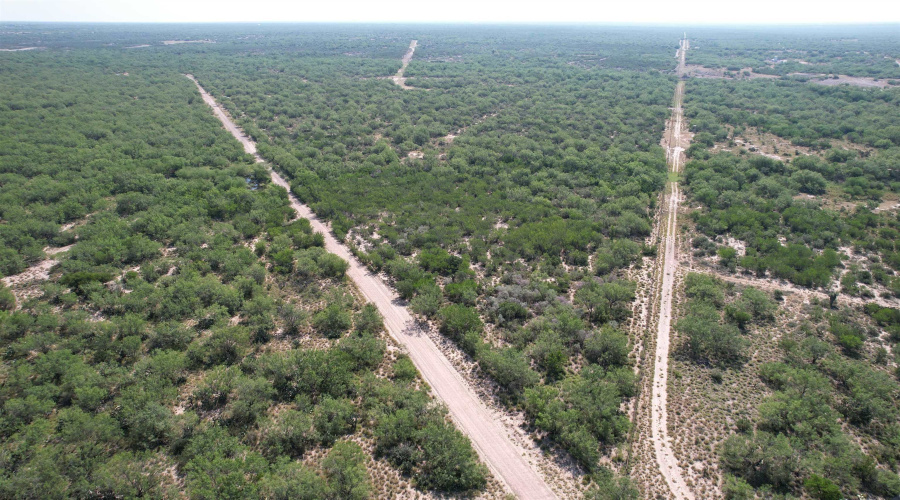0000 ABST 423, Laredo, Texas 78046, ,Land,For Sale,0000 ABST 423,20261044