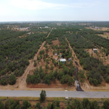 Jefferies Rd., Laredo, Texas 78045, ,Land,For Sale,Jefferies Rd.,20264258