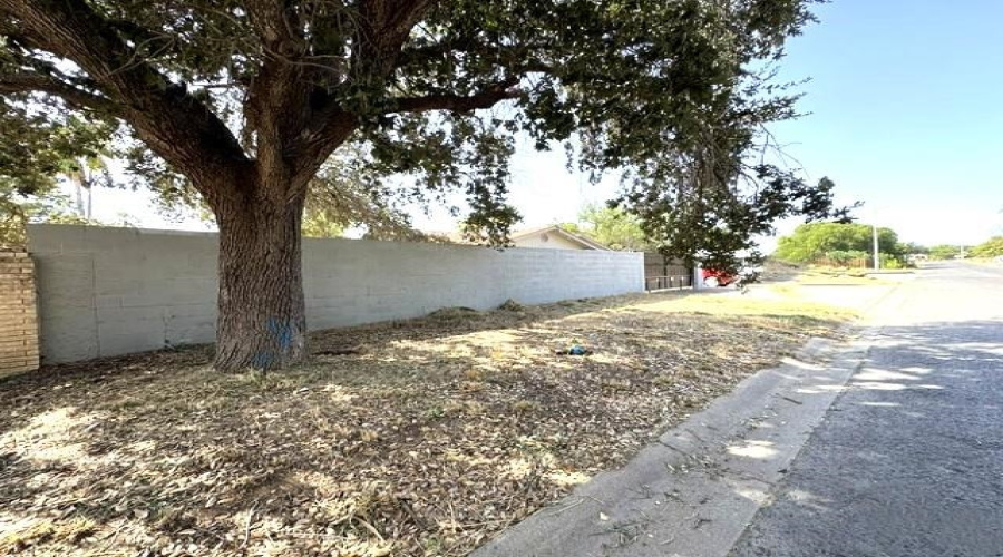 709 Graceland Dr, Laredo, Texas 78045, 3 Bedrooms Bedrooms, 7 Rooms Rooms,2 BathroomsBathrooms,Residential,For Sale,709 Graceland Dr,20264259