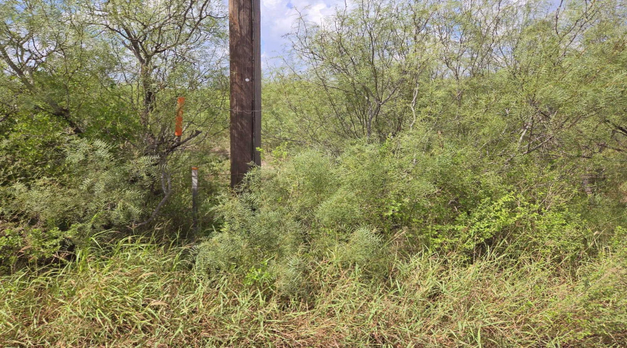 ABST 1293 SUR Las Lomas II, Laredo, Texas 78043, ,Land,For Sale,ABST 1293 SUR Las Lomas II,20264288