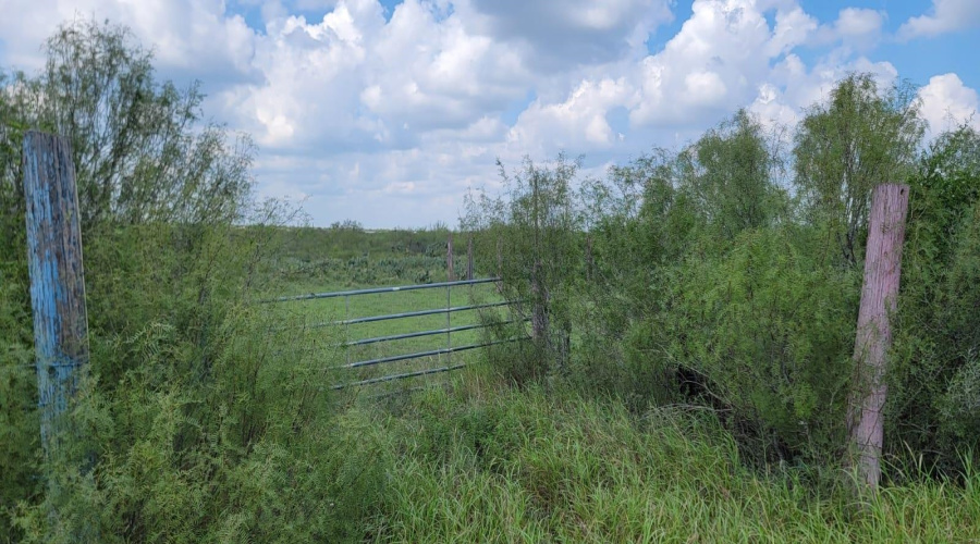 ABST 1293 SUR Las Lomas II, Laredo, Texas 78043, ,Land,For Sale,ABST 1293 SUR Las Lomas II,20264288