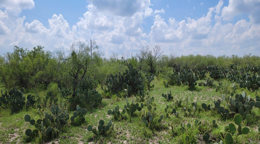 ABST 1293 SUR Las Lomas II, Laredo, Texas 78043, ,Land,For Sale,ABST 1293 SUR Las Lomas II,20264288