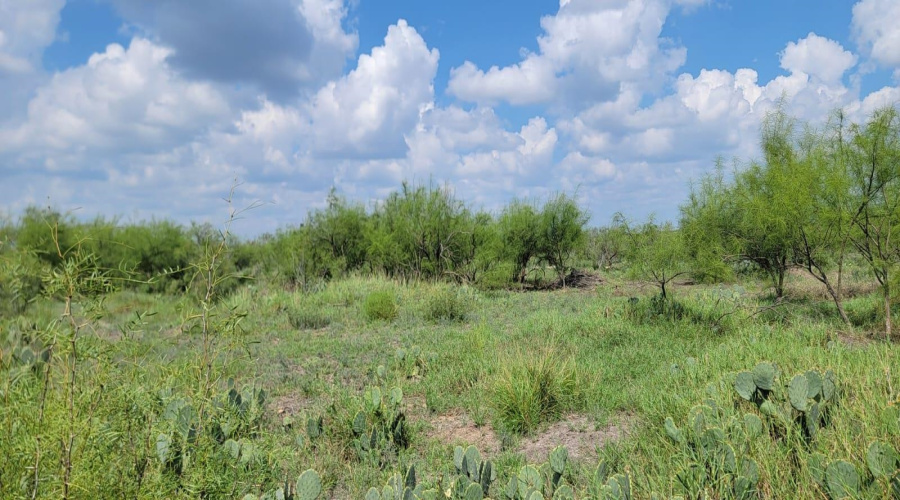 ABST 1293 SUR Las Lomas II, Laredo, Texas 78043, ,Land,For Sale,ABST 1293 SUR Las Lomas II,20264288