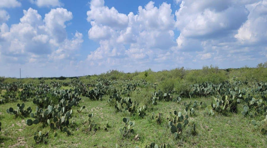 ABST 1293 SUR Las Lomas II, Laredo, Texas 78043, ,Land,For Sale,ABST 1293 SUR Las Lomas II,20264288