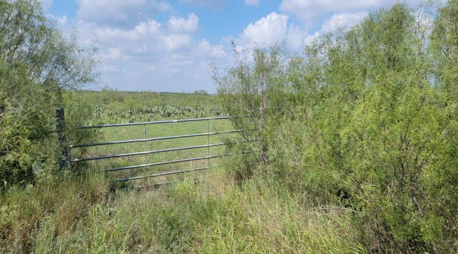 ABST 1293 SUR Las Lomas II, Laredo, Texas 78043, ,Land,For Sale,ABST 1293 SUR Las Lomas II,20264288