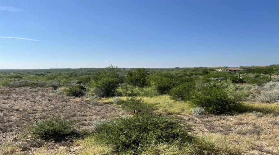 386 Papalote Rd, LAREDO, Texas 78045-8071, ,Land,For Sale,386 Papalote Rd,20264397