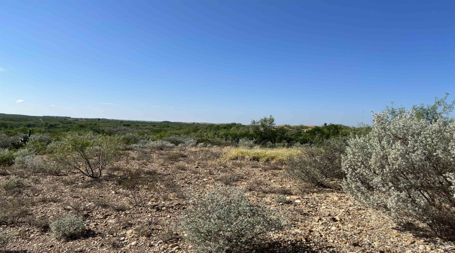 386 Papalote Rd, LAREDO, Texas 78045-8071, ,Land,For Sale,386 Papalote Rd,20264397