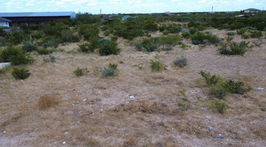 000 Camino Reforma, LAREDO, Texas 78043, ,Land,For Sale,000 Camino Reforma,20264405