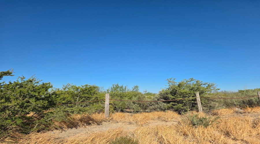 HWY 83 S Mangana-Hein Rd, Laredo, Texas 78043, ,Land,For Sale,HWY 83 S Mangana-Hein Rd,20264430