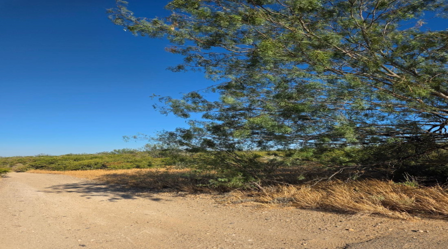 HWY 83 S Mangana-Hein Rd, Laredo, Texas 78043, ,Land,For Sale,HWY 83 S Mangana-Hein Rd,20264430