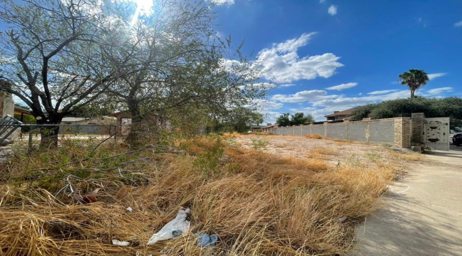 99 Prada-Machin Dr, LAREDO, Texas 78046, ,Land,For Sale,99 Prada-Machin Dr,20264496