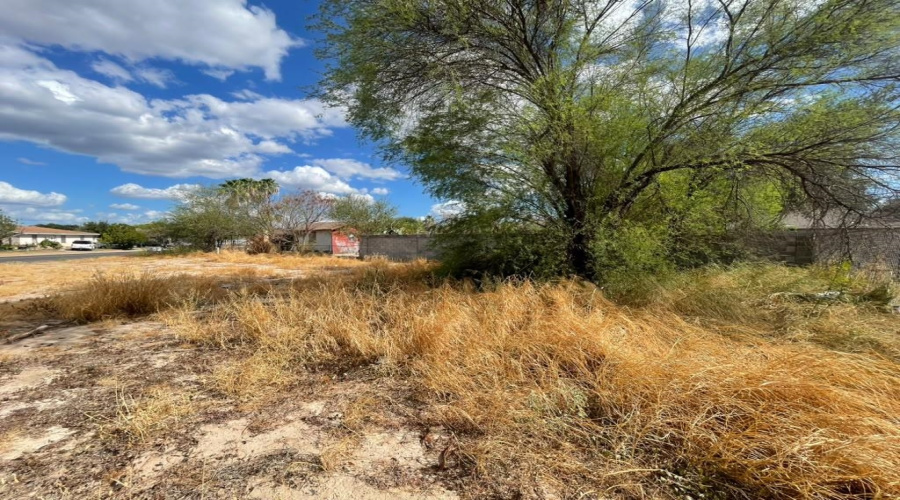 99 Prada-Machin Dr, LAREDO, Texas 78046, ,Land,For Sale,99 Prada-Machin Dr,20264496