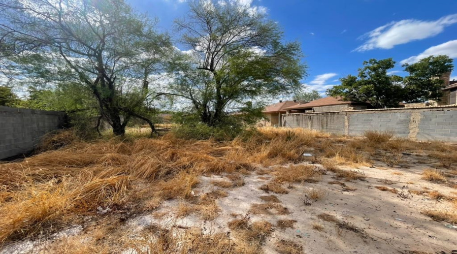 99 Prada-Machin Dr, LAREDO, Texas 78046, ,Land,For Sale,99 Prada-Machin Dr,20264496