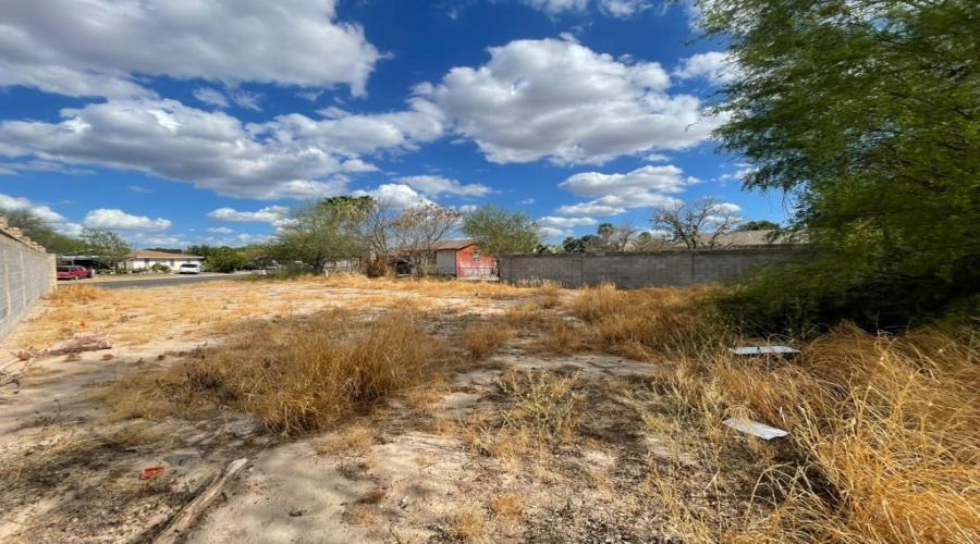 99 Prada-Machin Dr, LAREDO, Texas 78046, ,Land,For Sale,99 Prada-Machin Dr,20264496