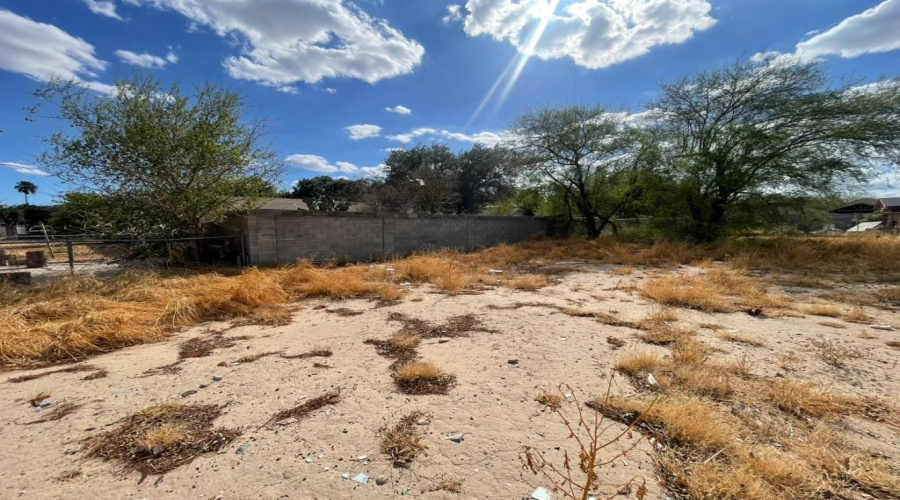 99 Prada-Machin Dr, LAREDO, Texas 78046, ,Land,For Sale,99 Prada-Machin Dr,20264496