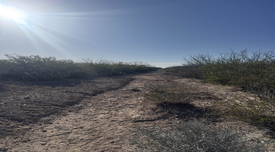 364 Ranch Rd, LAREDO, Texas 78041, ,Land,For Sale,364 Ranch Rd,20264509