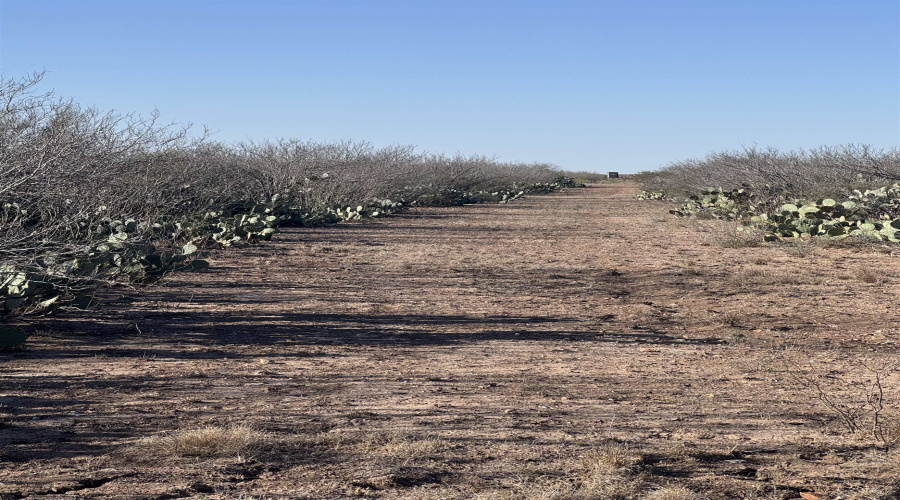 364 Ranch Rd, LAREDO, Texas 78041, ,Land,For Sale,364 Ranch Rd,20264509