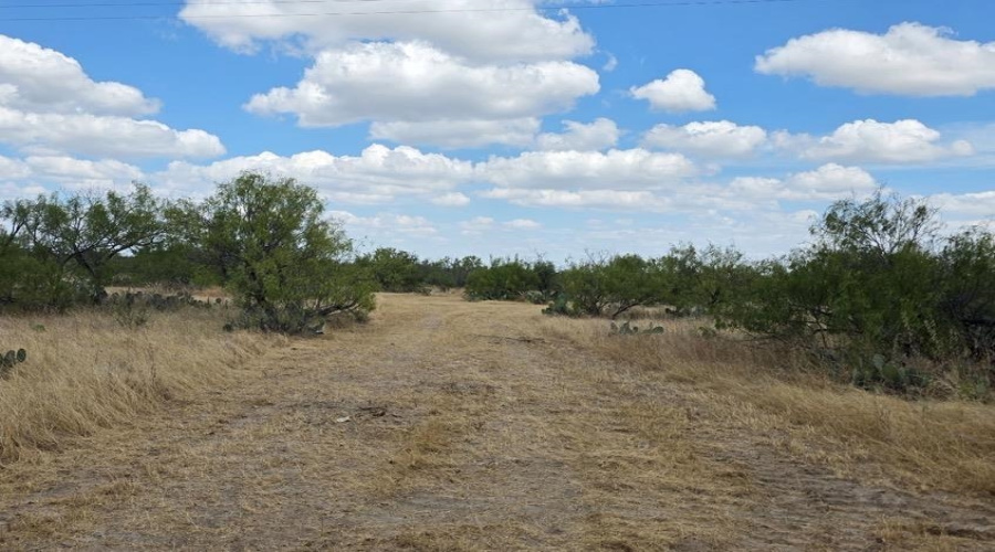 La Cometa Farms Block B 4, Lot 16, Carrizo Springs, Texas 78834, ,Land,For Sale,La Cometa Farms Block B 4, Lot 16,20264533
