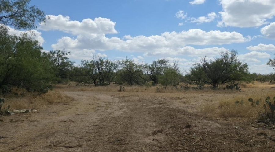 La Cometa Farms Block B 4, Lot 16, Carrizo Springs, Texas 78834, ,Land,For Sale,La Cometa Farms Block B 4, Lot 16,20264533