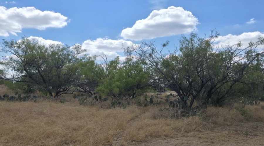 La Cometa Farms Block B 4, Lot 16, Carrizo Springs, Texas 78834, ,Land,For Sale,La Cometa Farms Block B 4, Lot 16,20264533