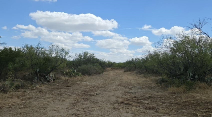 La Cometa Farms Block B 4, Lot 16, Carrizo Springs, Texas 78834, ,Land,For Sale,La Cometa Farms Block B 4, Lot 16,20264533