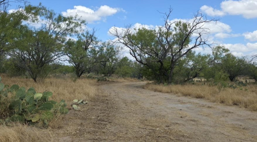 La Cometa Farms Block B 4, Lot 16, Carrizo Springs, Texas 78834, ,Land,For Sale,La Cometa Farms Block B 4, Lot 16,20264533