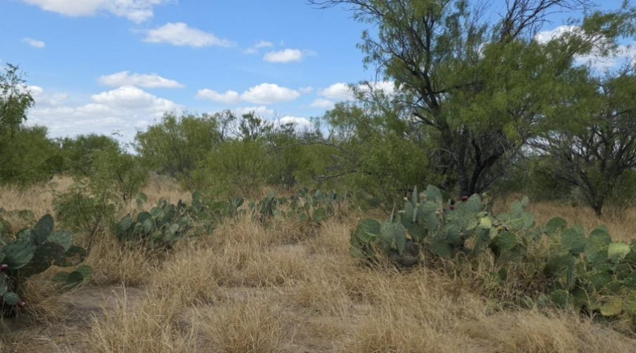 La Cometa Farms Block B 4, Lot 16, Carrizo Springs, Texas 78834, ,Land,For Sale,La Cometa Farms Block B 4, Lot 16,20264533