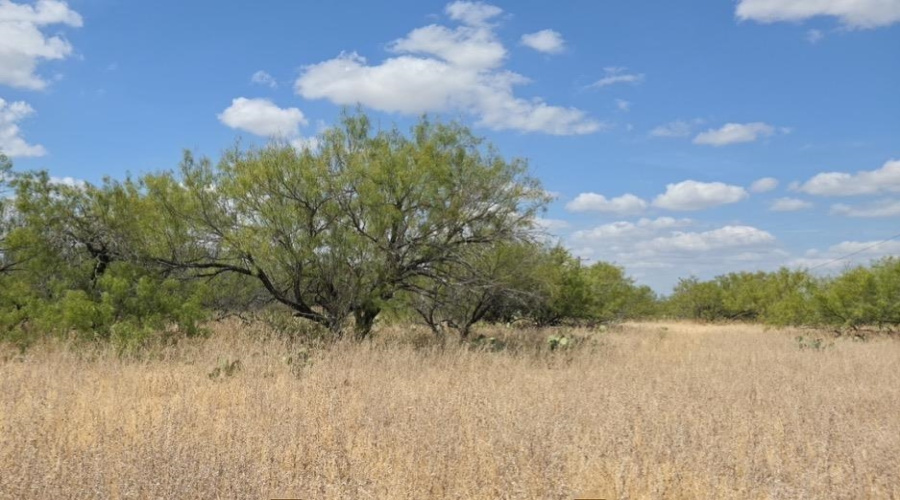 La Cometa Farms Block B 4, Lot 16, Carrizo Springs, Texas 78834, ,Land,For Sale,La Cometa Farms Block B 4, Lot 16,20264533