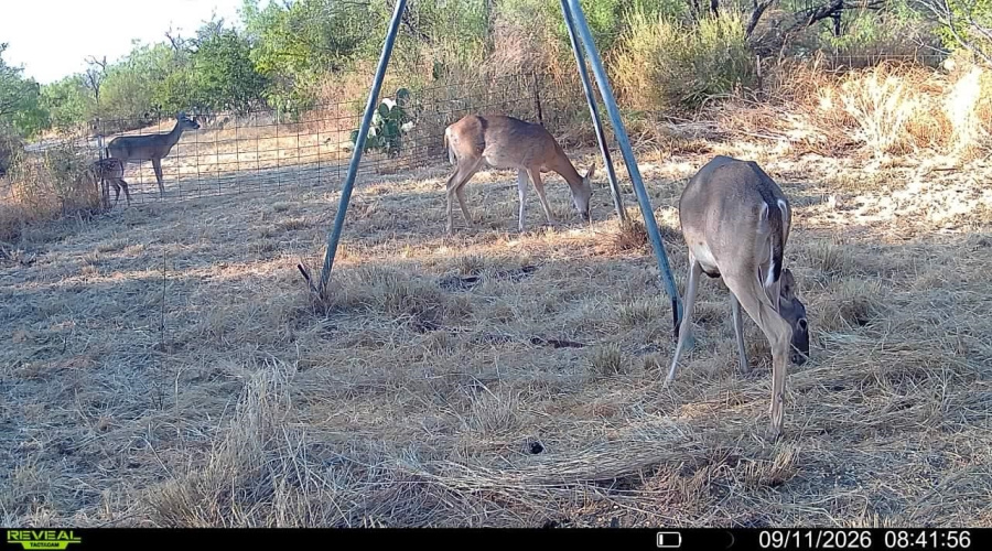 La Cometa Farms Block B 4, Lot 16, Carrizo Springs, Texas 78834, ,Land,For Sale,La Cometa Farms Block B 4, Lot 16,20264533