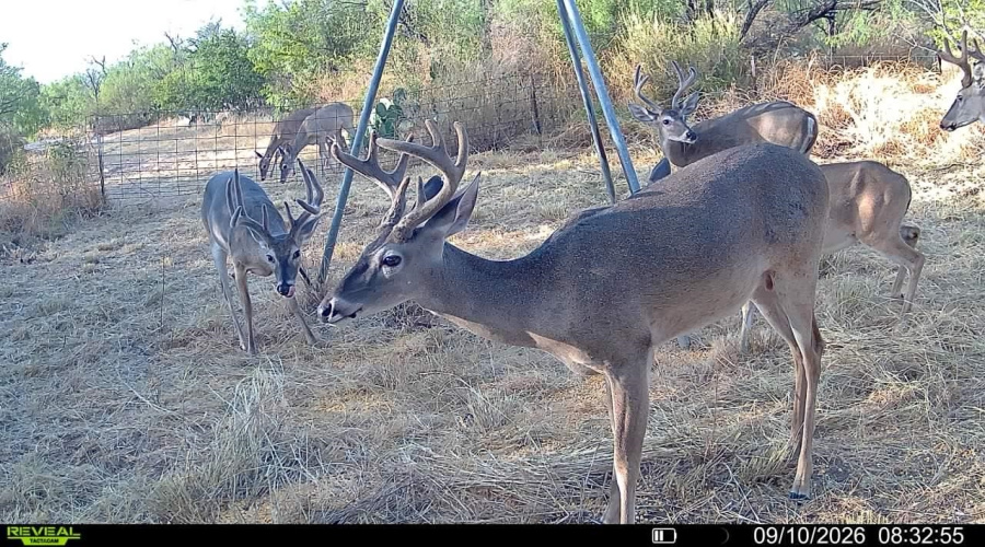 La Cometa Farms Block B 4, Lot 16, Carrizo Springs, Texas 78834, ,Land,For Sale,La Cometa Farms Block B 4, Lot 16,20264533