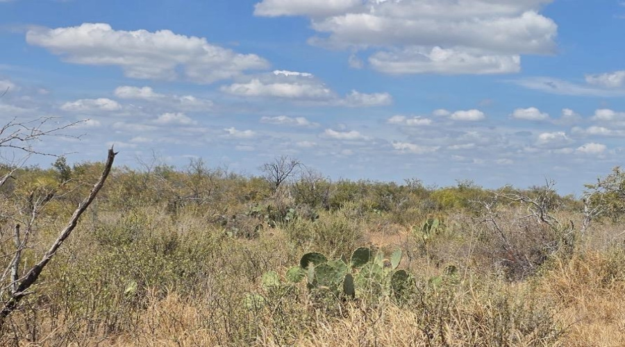 La Cometa Farms Block B 4, Lot 16, Carrizo Springs, Texas 78834, ,Land,For Sale,La Cometa Farms Block B 4, Lot 16,20264533