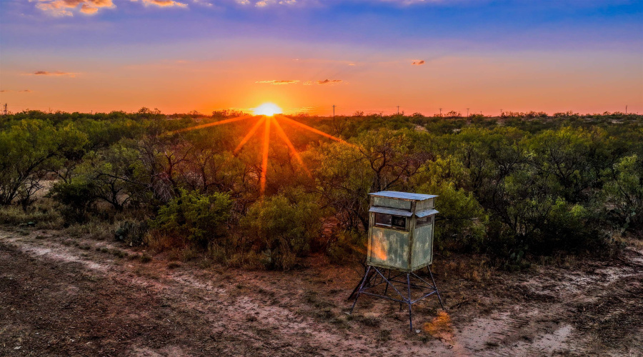 La Cometa Farms Block B 4, Lot 16, Carrizo Springs, Texas 78834, ,Land,For Sale,La Cometa Farms Block B 4, Lot 16,20264533