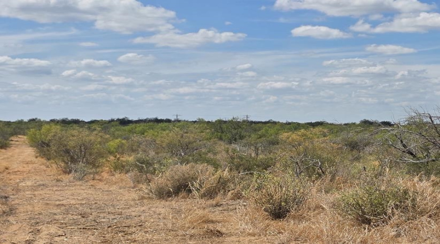La Cometa Farms Block B 4, Lot 16, Carrizo Springs, Texas 78834, ,Land,For Sale,La Cometa Farms Block B 4, Lot 16,20264533