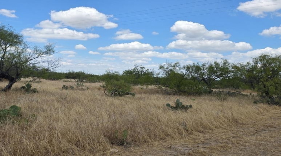 La Cometa Farms Block B 4, Lot 16, Carrizo Springs, Texas 78834, ,Land,For Sale,La Cometa Farms Block B 4, Lot 16,20264533