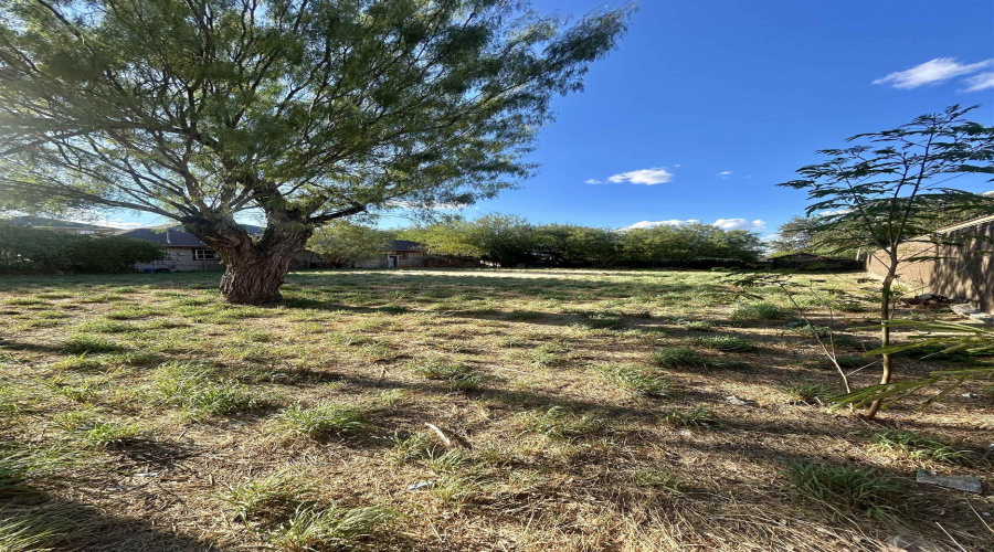 2906 Palo Blanco St, Laredo, Texas 78046, ,Land,For Sale,2906 Palo Blanco St,20264546