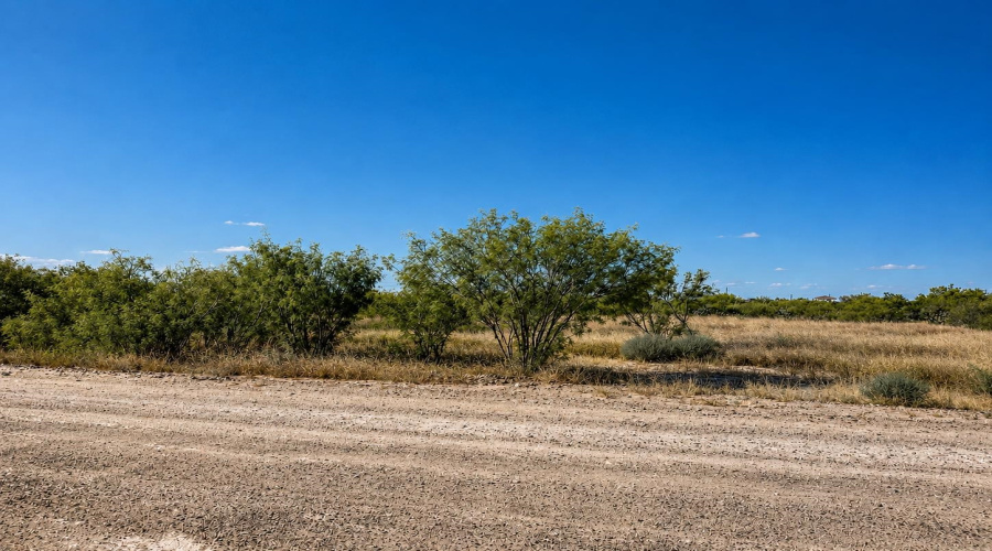 113 Los Centenarios, Laredo, Texas 78043, ,Land,For Sale,113 Los Centenarios,20263872