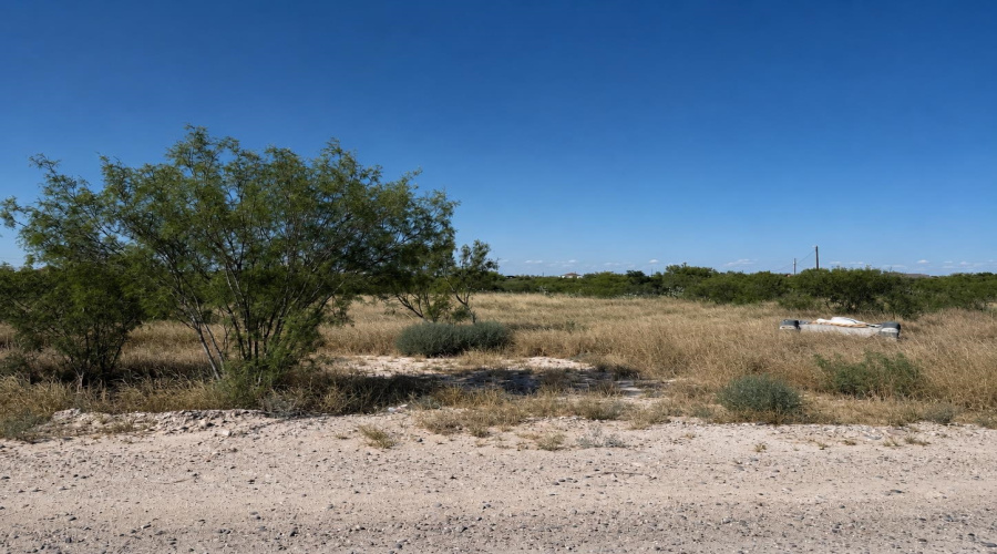 113 Los Centenarios, Laredo, Texas 78043, ,Land,For Sale,113 Los Centenarios,20263872