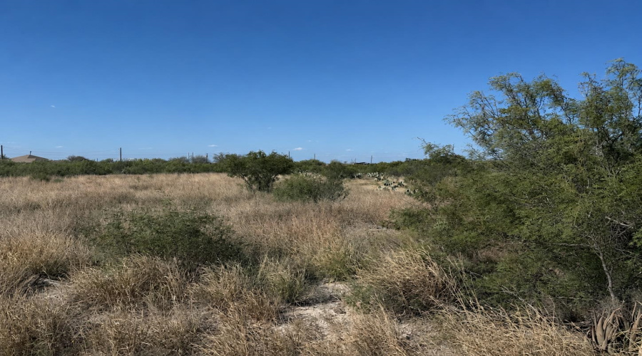 113 Los Centenarios, Laredo, Texas 78043, ,Land,For Sale,113 Los Centenarios,20263872