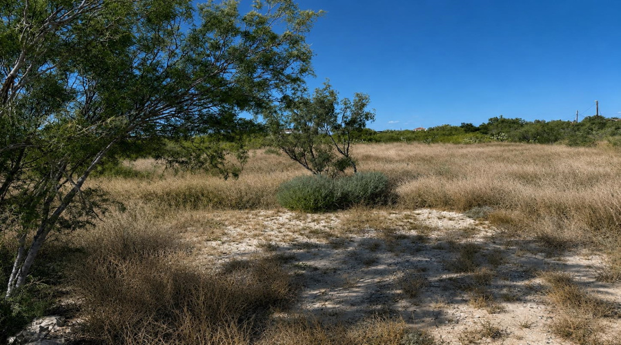 113 Los Centenarios, Laredo, Texas 78043, ,Land,For Sale,113 Los Centenarios,20263872
