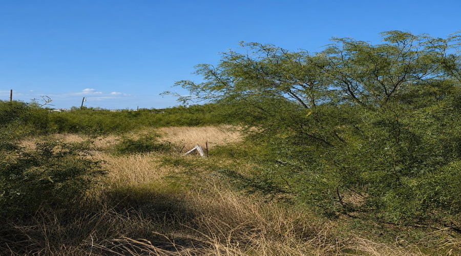 113 Los Centenarios, Laredo, Texas 78043, ,Land,For Sale,113 Los Centenarios,20263872
