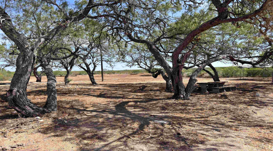 0 A-212 GT J & V FLORES, San Diego, Texas 78384, ,Land,For Sale,0 A-212 GT J & V FLORES,20264610