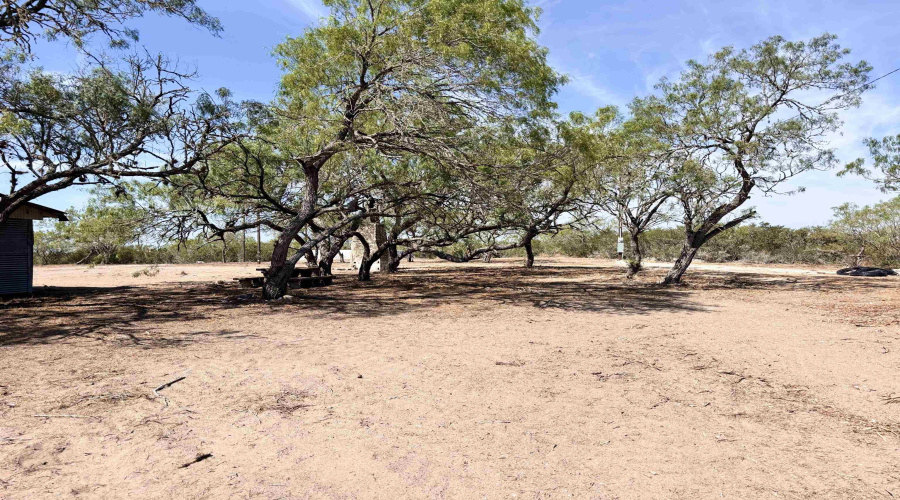 0 A-212 GT J & V FLORES, San Diego, Texas 78384, ,Land,For Sale,0 A-212 GT J & V FLORES,20264610