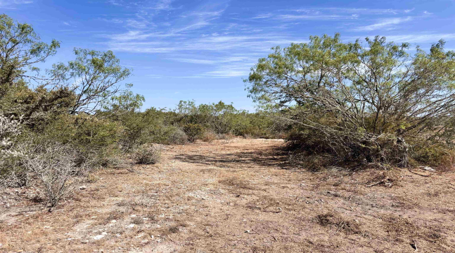 0 A-212 GT J & V FLORES, San Diego, Texas 78384, ,Land,For Sale,0 A-212 GT J & V FLORES,20264610